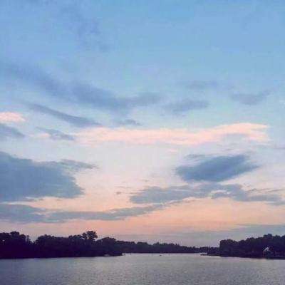 im电竞官方网站截图